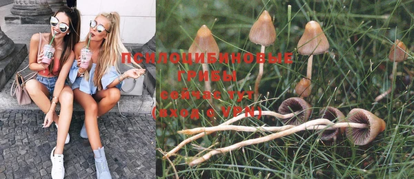дурь Магадан