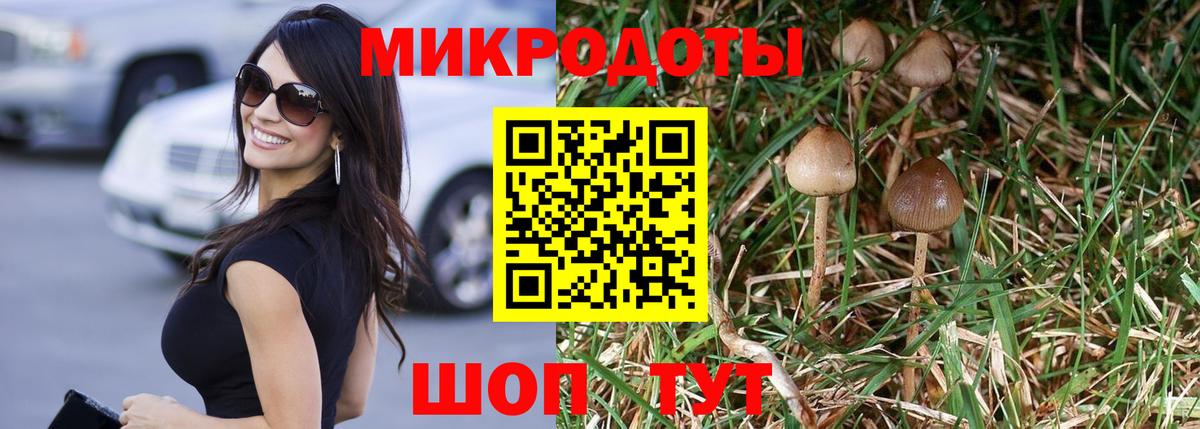 Красноуфимск  Галлюциногенные грибы Psilocybine cubensis  Вход с VPN  Псилоцибиновые грибы мухоморы 