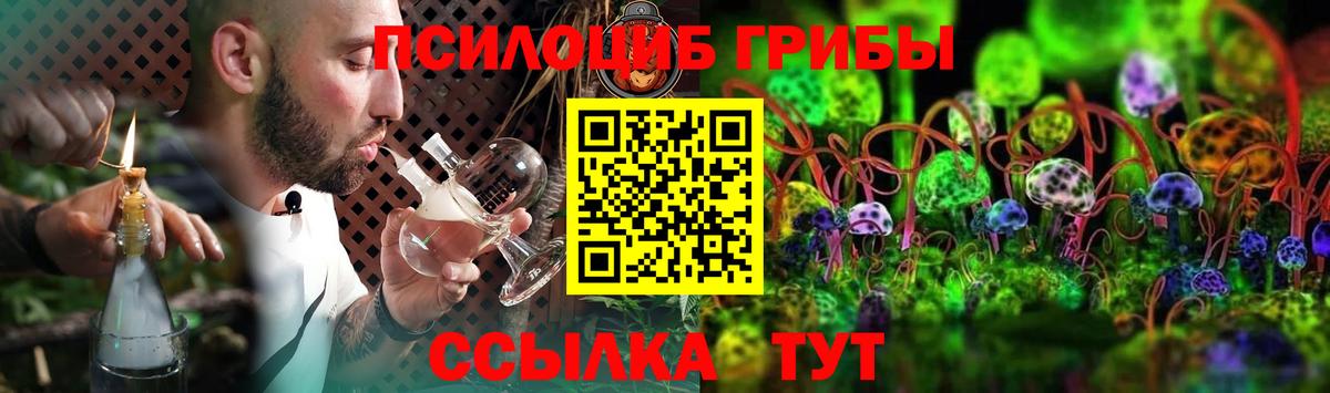 Галлюциногенные грибы Psilocybe  Красноуфимск  Галлюциногенные грибы Magic Shrooms 